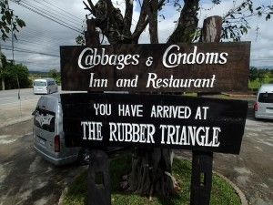 Cabbages and Condoms