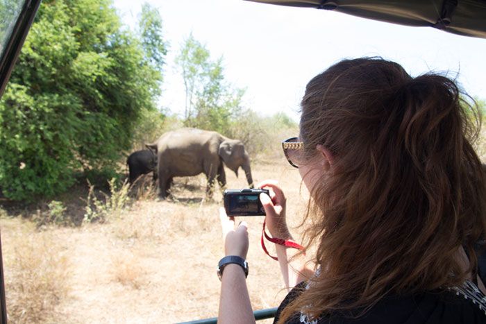 day10--Udawalawe-National-Park