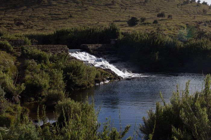 day9---Horton-Plains3
