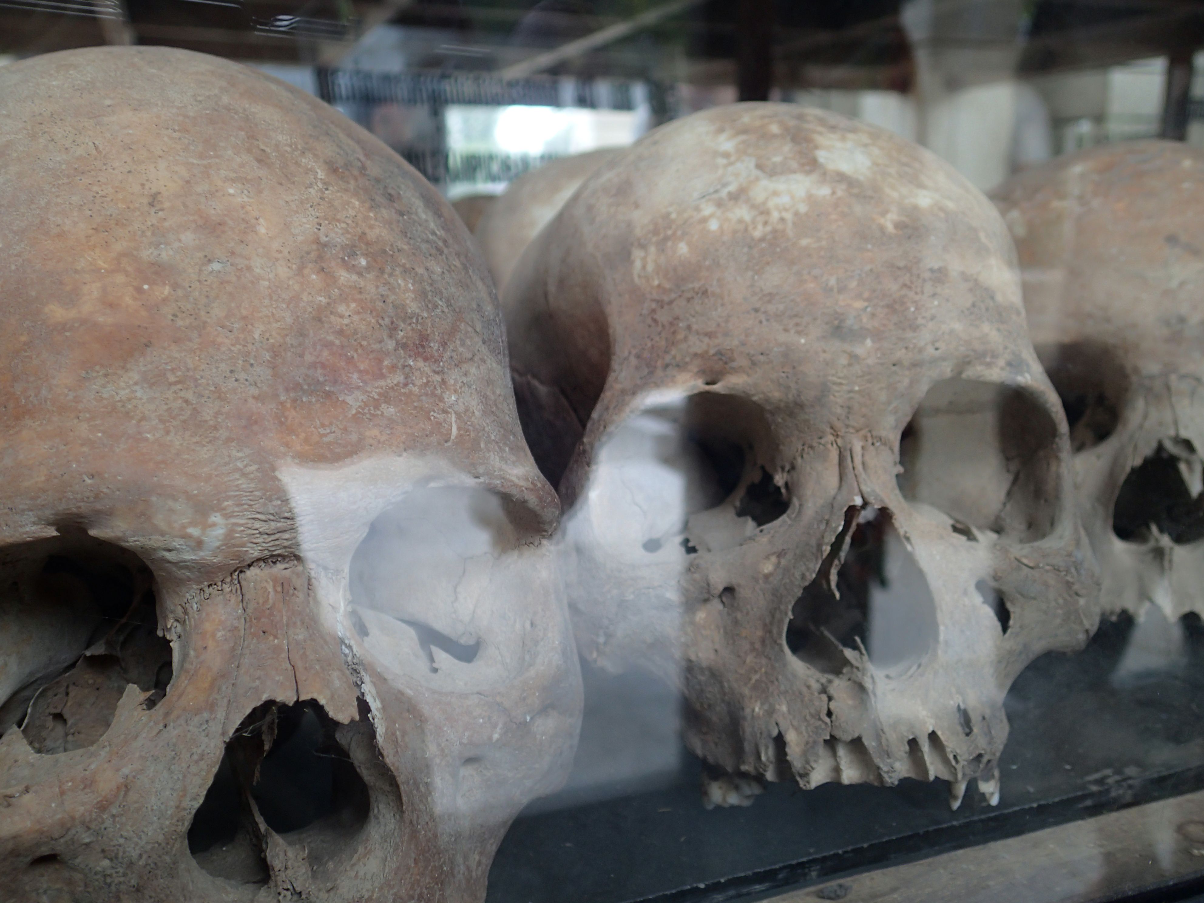 skulls - Cambodia