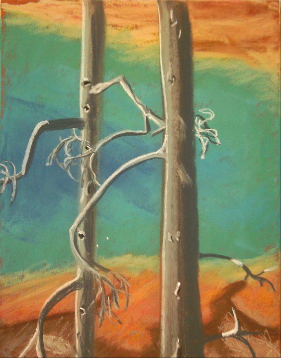 Yellowstone National Park