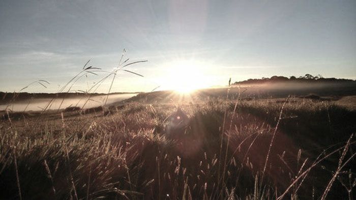 day9---horton-plains-national