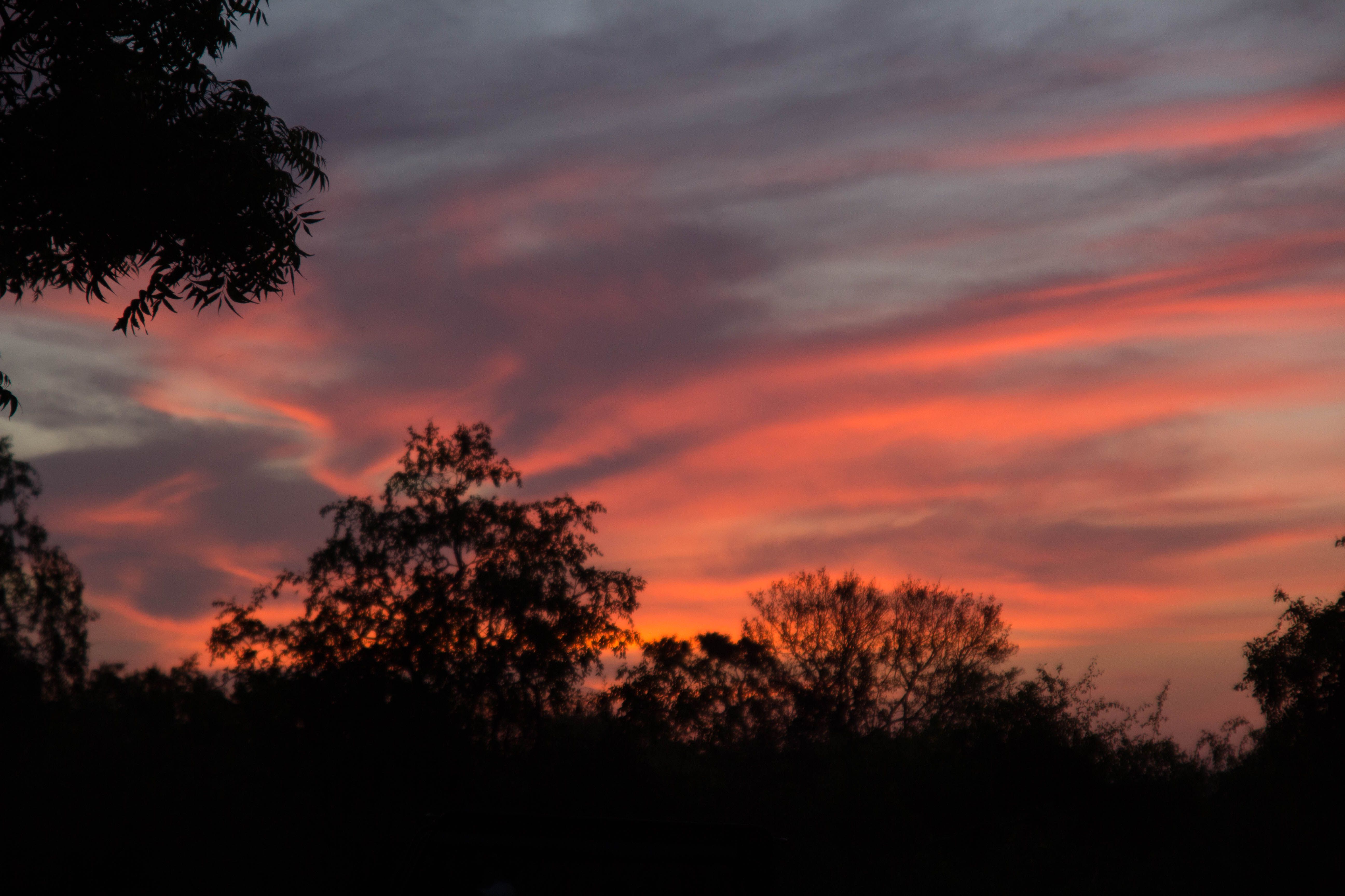 day11 - a Yala National Park