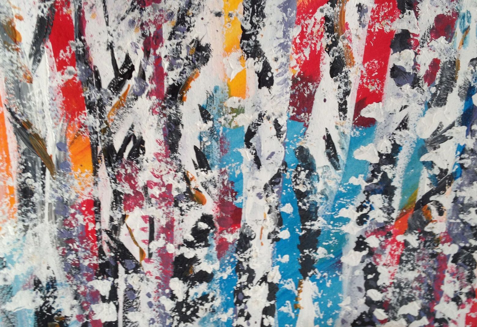 Birch Trees in Sunset