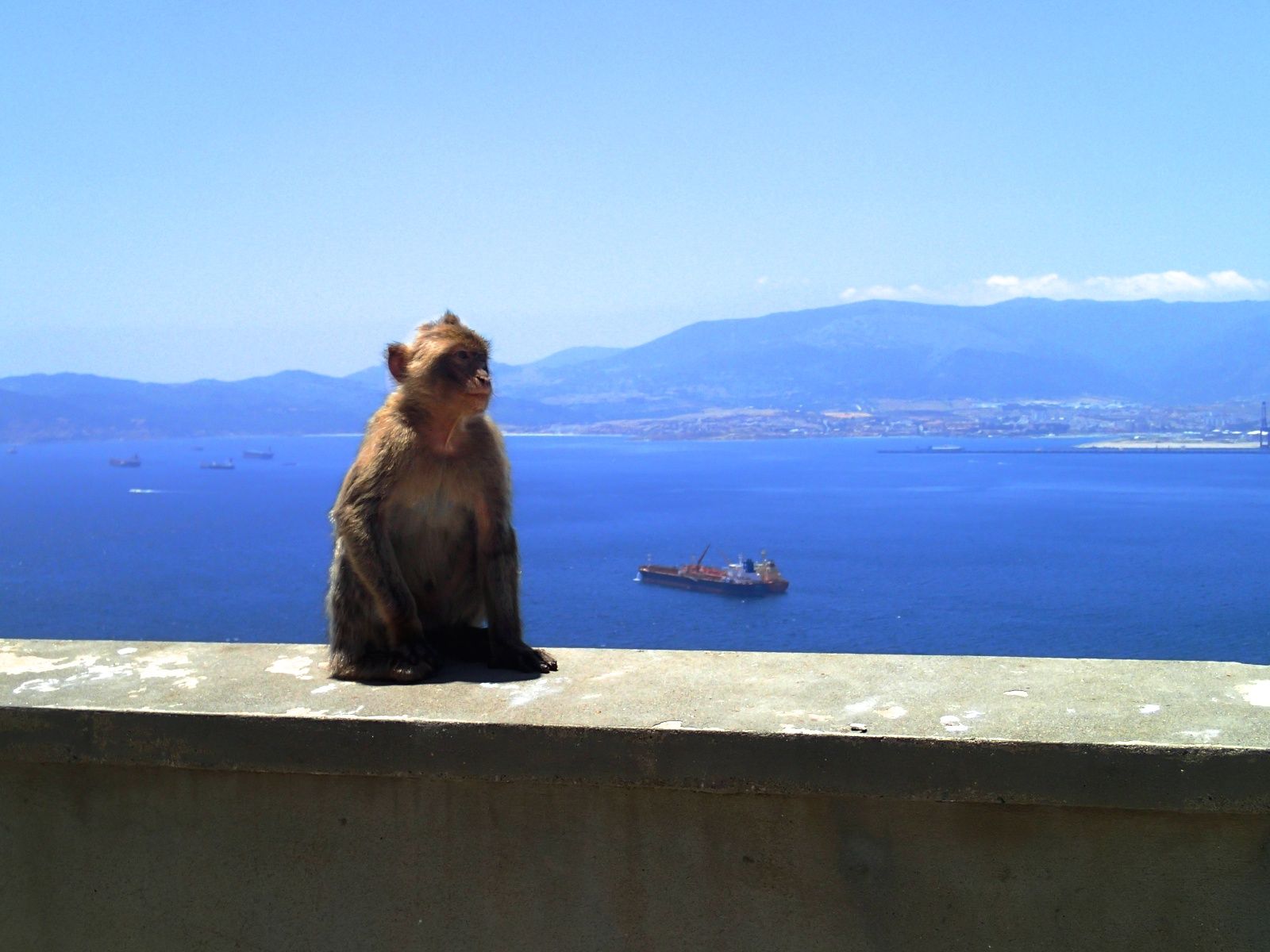 Day Eleven - Granada to Seville, Spain