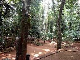 day7 - spice garden2