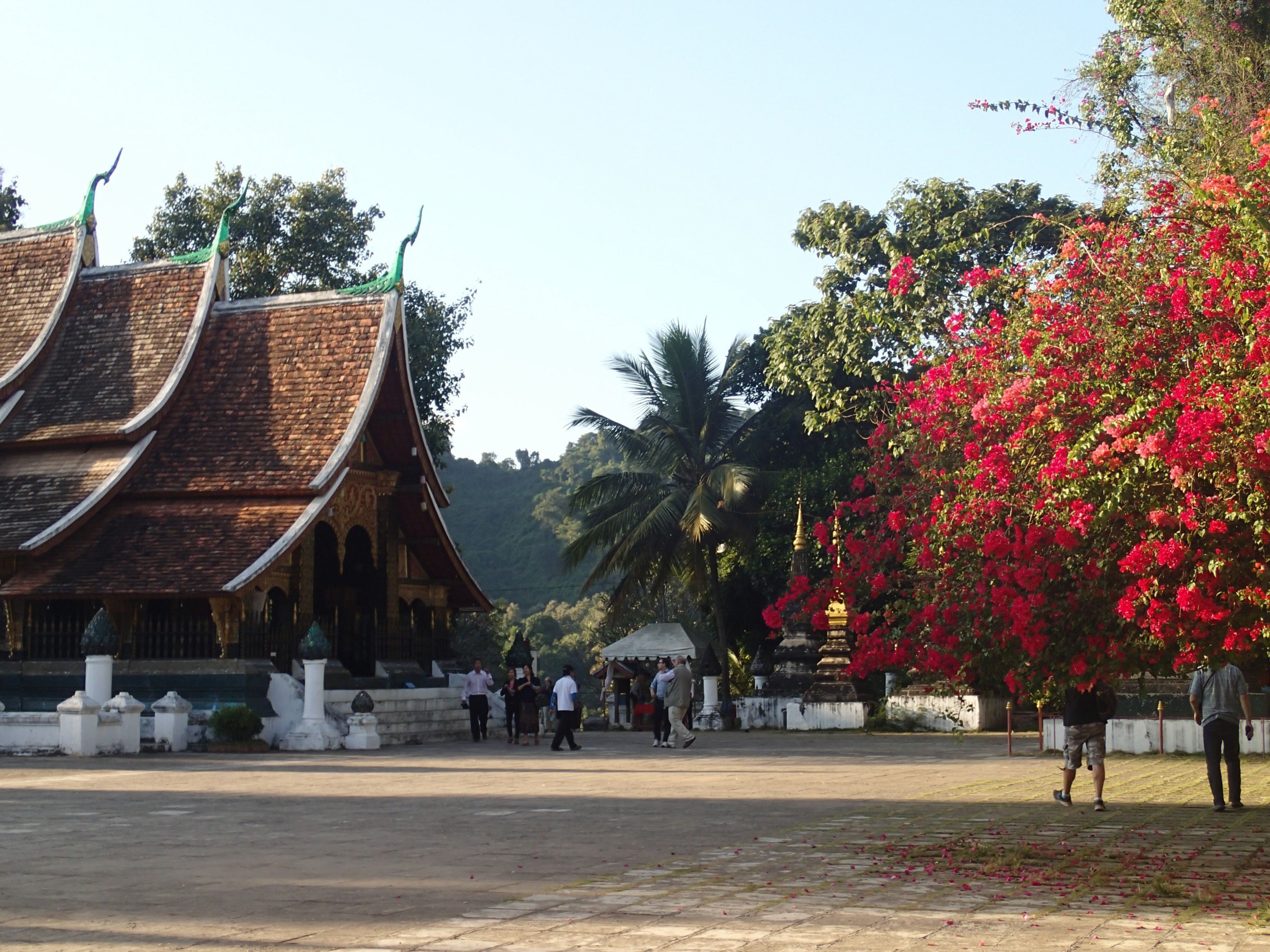Day 7 - Pakbeng to Luang Prabang, Laos